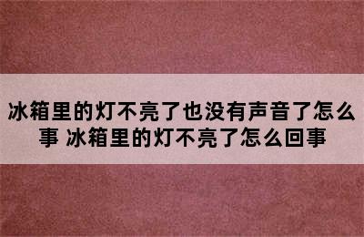 冰箱里的灯不亮了也没有声音了怎么事 冰箱里的灯不亮了怎么回事